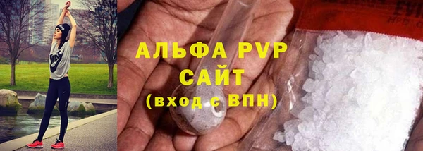 индика Абдулино